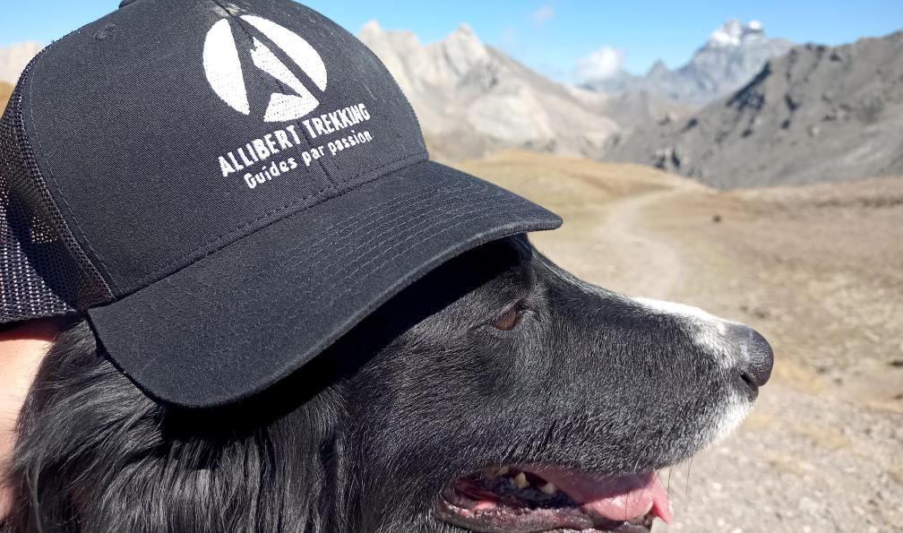 Wadbled - Coralie - Pause à l'ombre de la casquette, chien qui randonne dans le Queyras, Alpes, France - Itinérance en Queyras avec son chien - 1