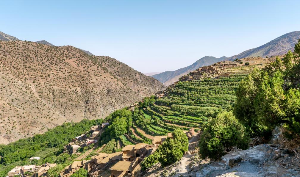 Fabre - Isabelle - Agriculture dans la vallée de lAzeden - La haute route du Toubkal - 5