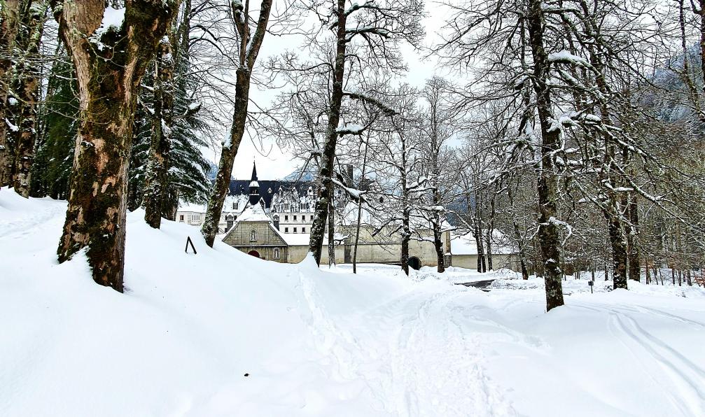Voyage en raquette - France : Alpes francaises raquette grande chartreuse
