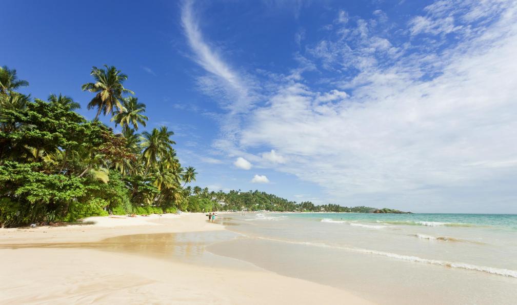 Image La traversée de l'île aux parfums