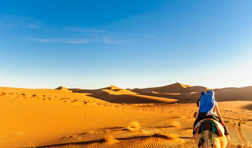 streetflash  -  Shutterstock -  Sur dos de dromadaire avec vue sur les dunes de M'hamid;Maroc - Sables infinis - 4