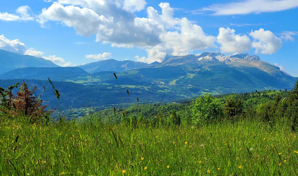 Pellequier - Lucie - La montagne dAurouze, Dévoluy, Alpes, France - Au coeur du Dévoluy - 7