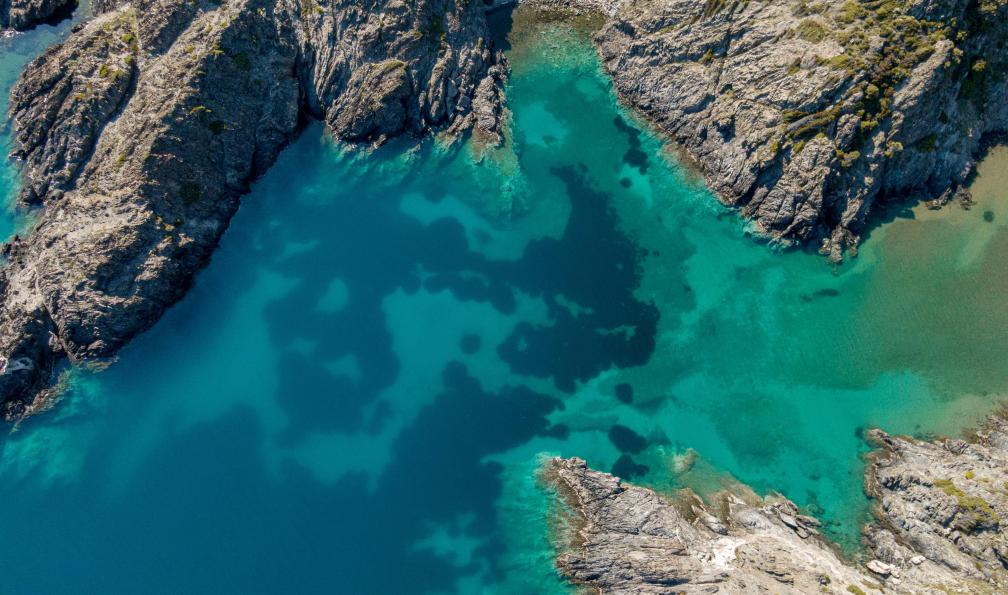 Patricia - Adobe stock - Cala avec posidonie, prairie sous-marine composée par une plante à fleur, la posidonie oceanica, endémique de la Méditerranée. in Cap de Creus, Espagne - Cadaqués, 1001 calas au pays de Dali - 14