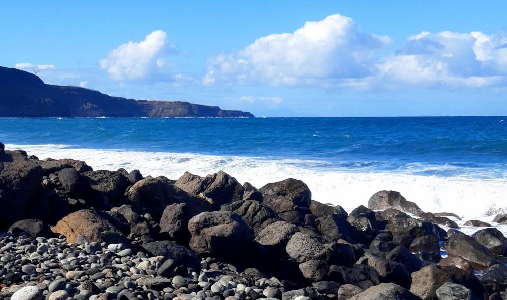 Mandou -  Alicia -  Plage de San Felipe, Gran Canaria - Les richesses de Gran Canaria - 4