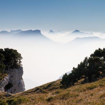 Voyage en raquette - Découverte du parc naturel des Bauges