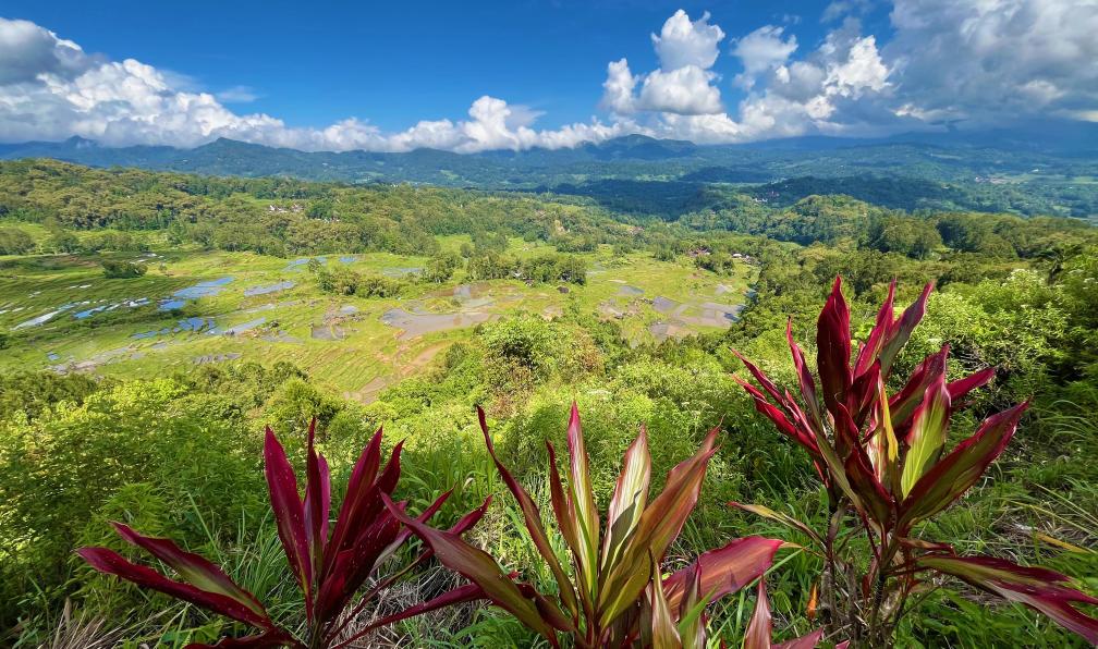 Spaini - Claire - Paysage du pays de Toraja, sulawesi, Indonésie - Sulawesi : aventure au bout du monde - 5