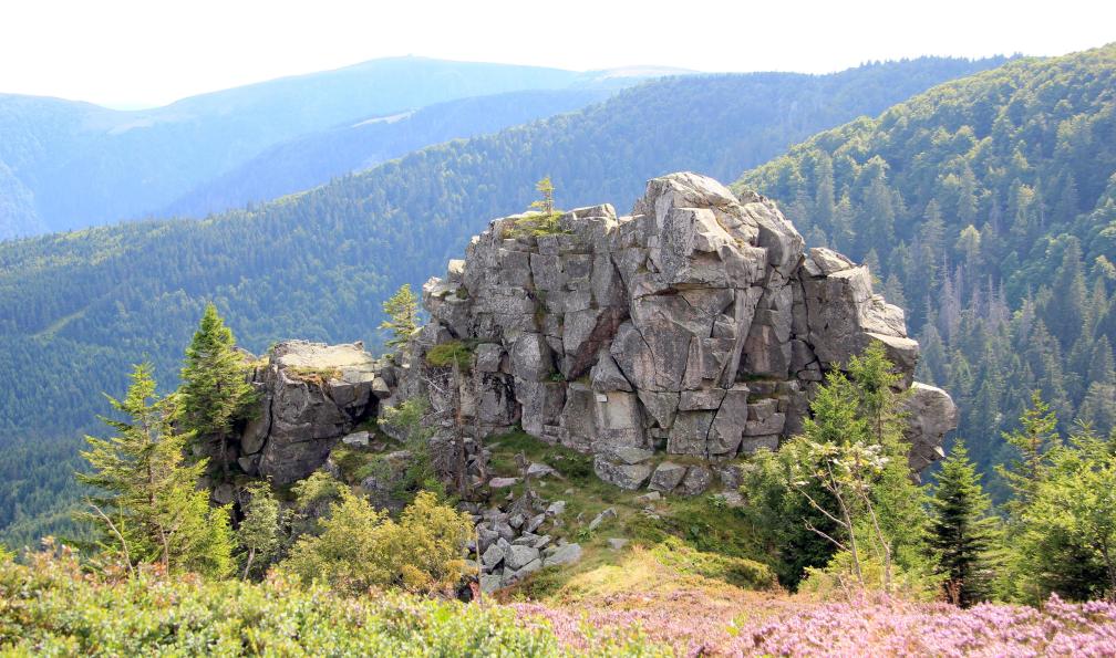 Istock -  Chaume, Vosges, Alsace, Haut-Rhin, France. - Tour des Hautes Vosges - 3