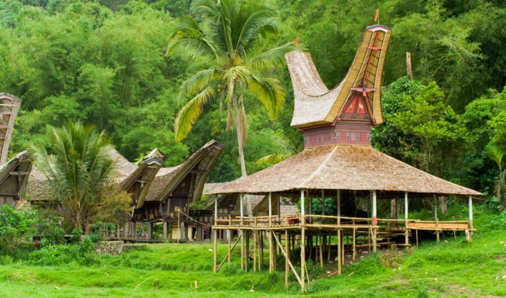 Fotolia -  Habitations en pays toraja, île de Sulawesi, Indonésie. - Sulawesi : aventure au bout du monde - 7