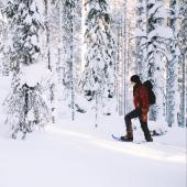 séjour aurores boréales finlande