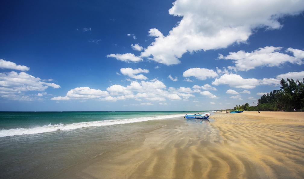 Image La traversée de l'île aux parfums