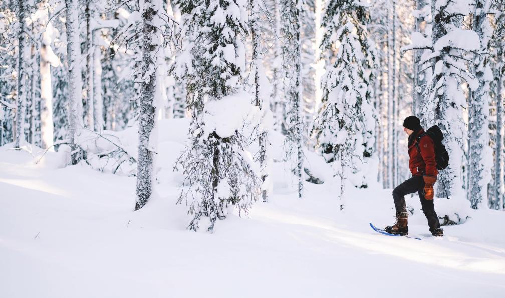 Voyage en raquette - Finlande : Multi-activités nordiques