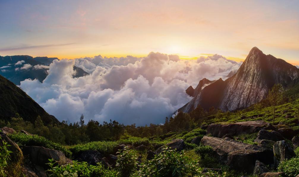 inde-du-sud-trek-kerala