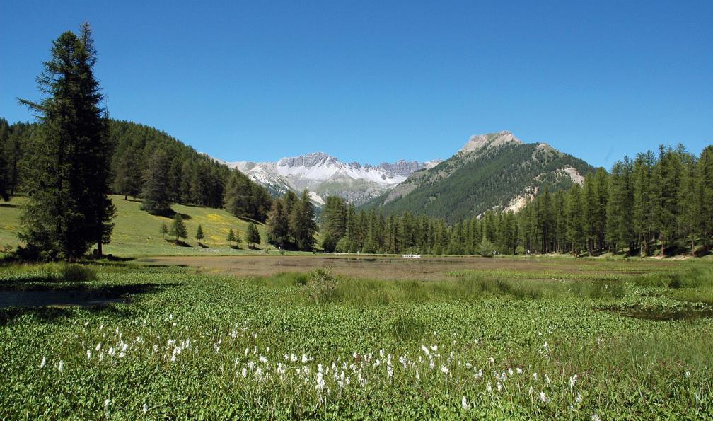 Lac de la Roue près d'Arvieux, Queyras, Alpes du Sud. - Itinérance en Queyras avec son chien - 2
