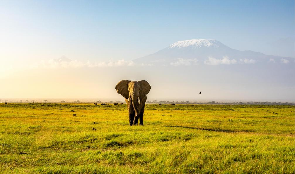 voyages et treks au kenya