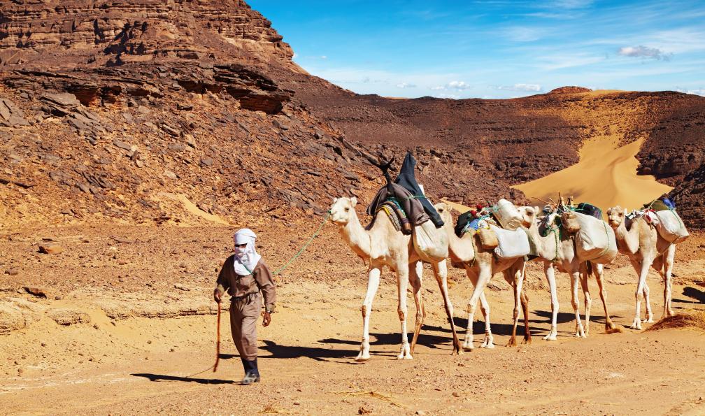 Pichugin - Dmitry - Adobe stock - Caravane de chameaux dans le Sahara - Hoggar, cathédrale de pierres et d'éternité - 3