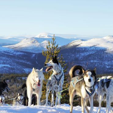 multiactivité hiver en famille hedmark