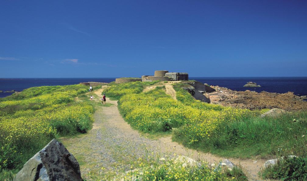 Fort et fleurs, Guernesey, Iles Anglo-Normandes, Normandie. - Sentiers côtiers des îles anglo-normandes - 5
