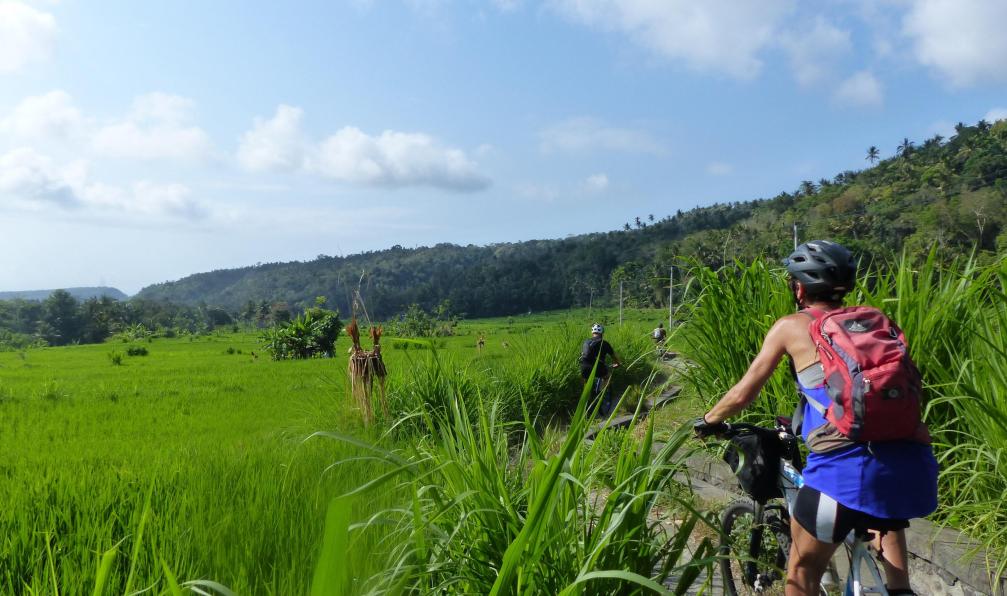 vélorizon - Cyclistes sur une route dans les rizières, circuit Echappée balinaise à vélo, Indonésie - Trois volcans et la mer turquoise - 6
