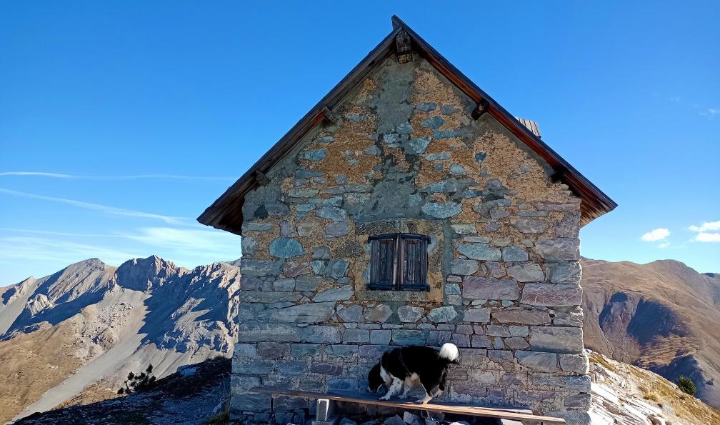 Wadbled - Coralie - Chien faisaint le tour de la cabane vers le Col Fromage, Queyras, Alpes, France - Itinérance en Queyras avec son chien - 3