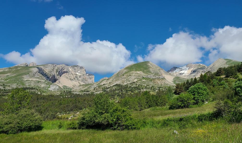 Pellequier - Lucie - Les vallons de Truchière et Narrites, Dévoluy, Alpes, France - Au coeur du Dévoluy - 9