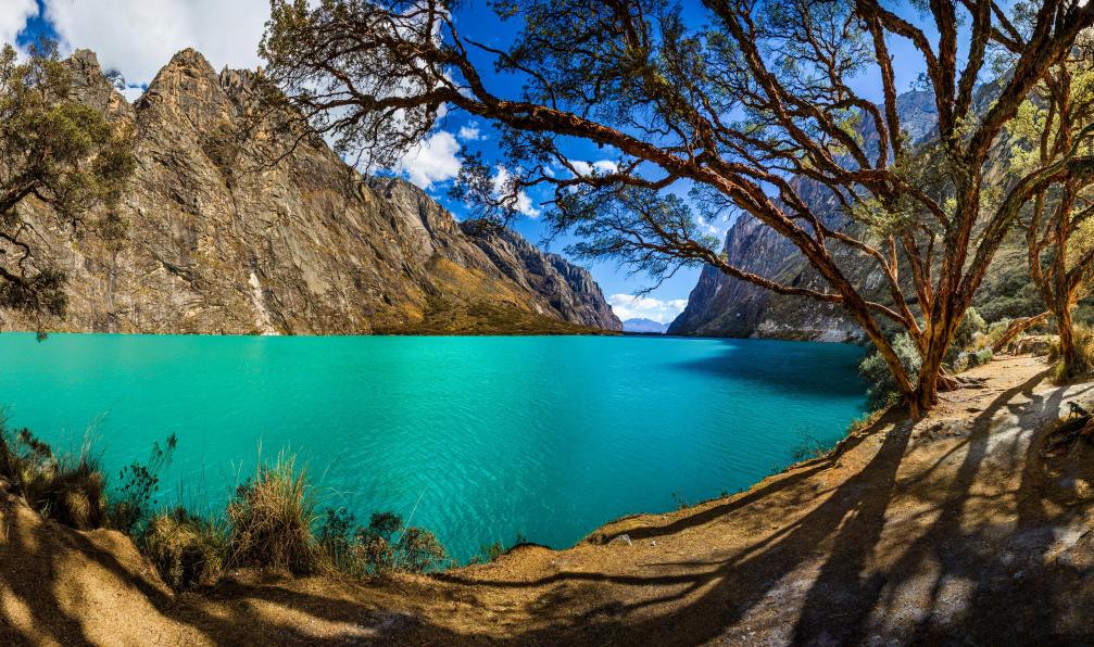 Paire Christian Vinces - Adobe stock - Arbres quenoal et lac Llanganuco, dans la chaîne blanche près de la montagne Huascaran, à Yungay, Huaraz, Ancash, Pérou. - Insolite Cordillère Blanche (confort) - 7