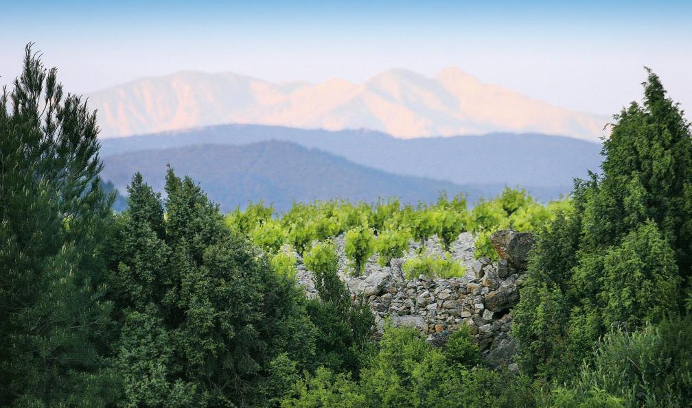 G.DESCHAMPS - CRT Occitanie -  Canigou, France - La traversée des Pyrénées, à la carte - 6