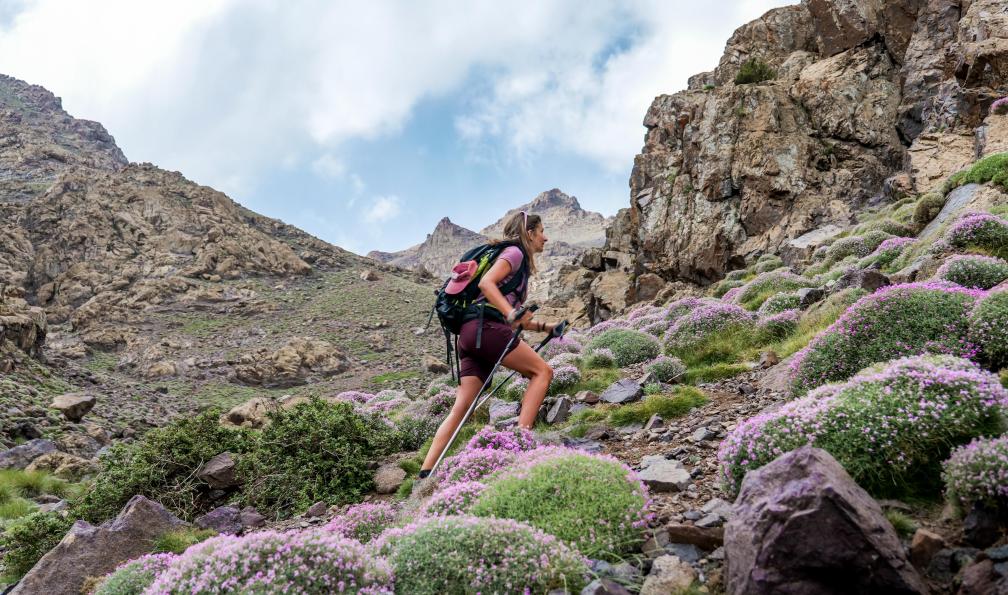 Fabre - Isabelle - Randonneuse qui marche au milieu des fleurs vers le Djebel Tazarhart, Toubkal, Maroc - Objectif Toubkal - 5