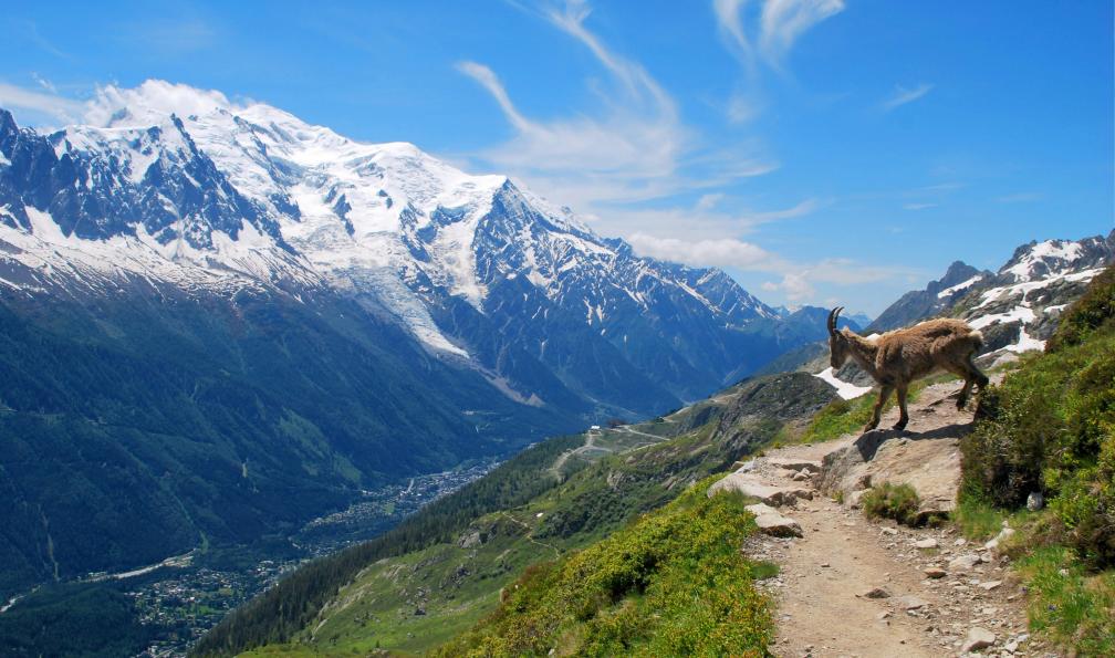 Trek - Le grand tour du Mont-Blanc