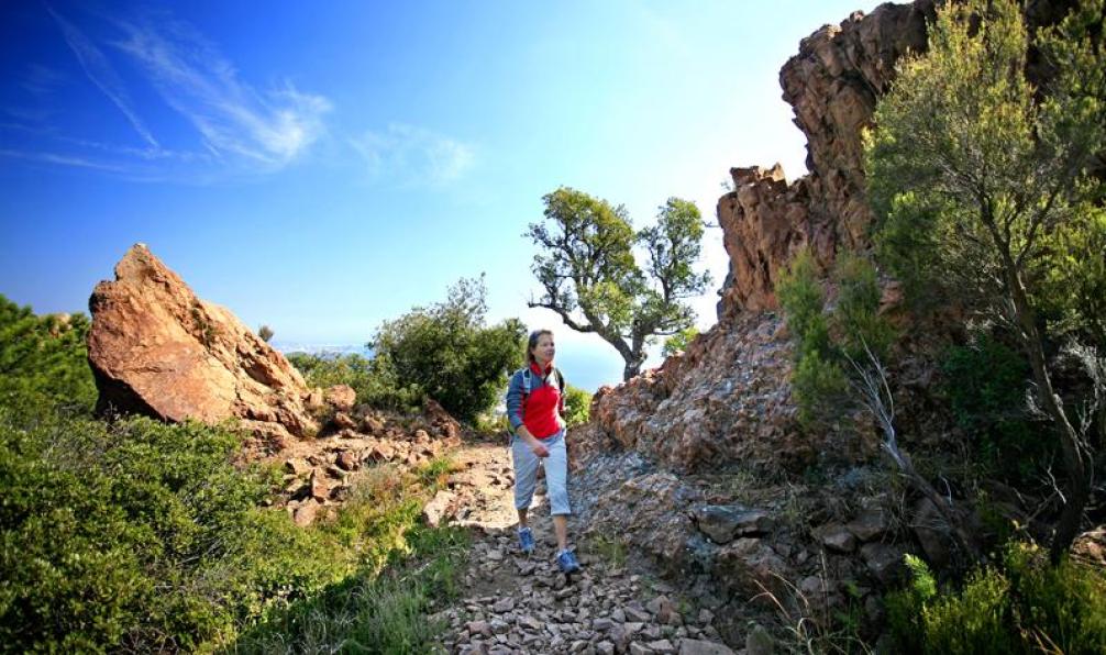 Randonnée dans l'Esterel, Côte d'Azur, Méditerranée. - L'Estérel avec mon chien - 4