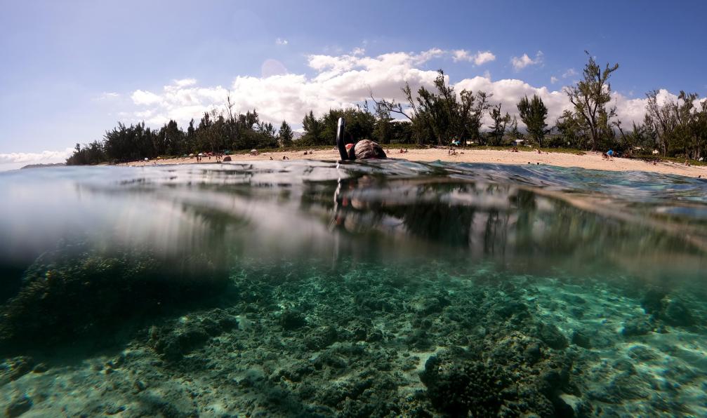 Thevenet - Nicolas - Snorkeling dans un lagon,La réunion - L'île aux trésors - 9