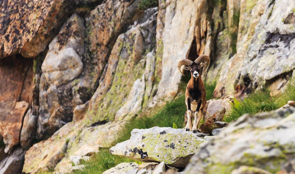 alpes-francaises-tour-mercantour-1