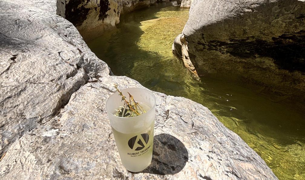 Ravaine - Caroline - Tisane thym du guide au bord du Jabron en Provence, France. - Les Gorges du Verdon sur mesure  - 8