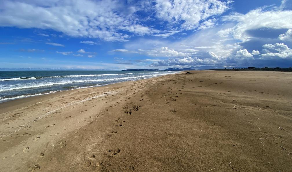 Chappaz - Isabelle - La plage de Zarrapo, Catalogne, Espagne - La catalogne à vélo : de Gérone à Figueres - 8