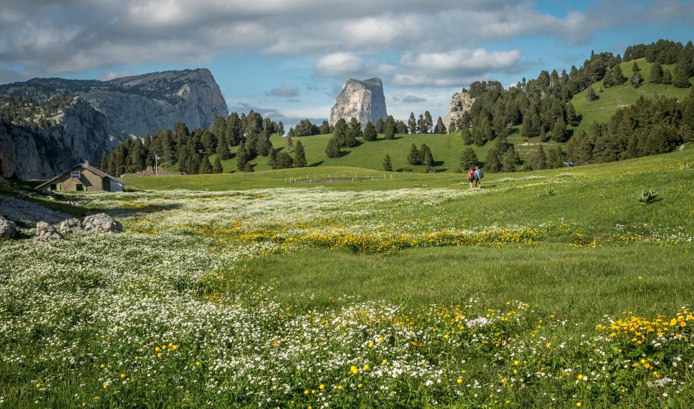 Deborde - Jean-Michel - Adobe Stock - Randonneurs face au Mont Aiguille dans le Vercors au printemps, Vercors, France - Multiactivités entre Vercors et Provence - 1