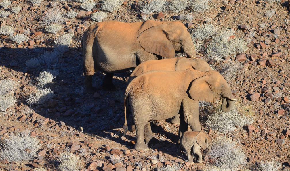 namibie-trekking-machame