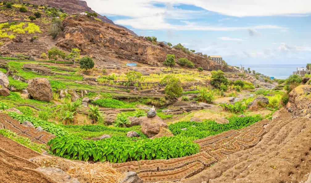 Image Santo antão, île de trek