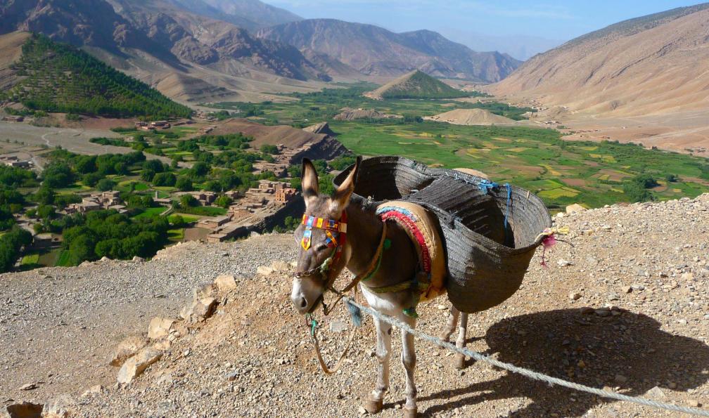 atlas-rando-famille-ait-bougmez