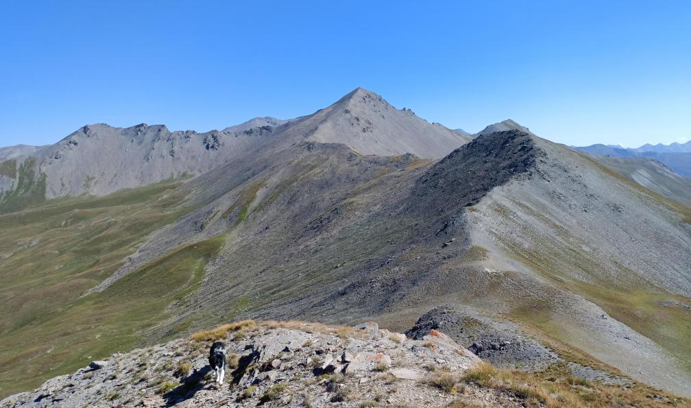 Wadbled - Coralie - La crête du Petit Rochebrune, Queyras, Alpes, France - Le Queyras hors des sentiers battus - 7
