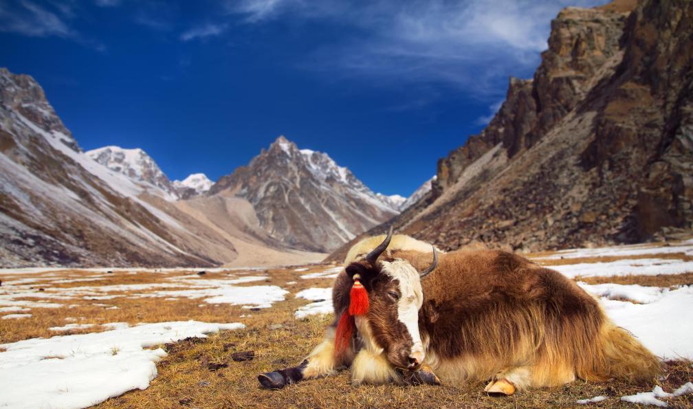 bhoutan-snow-man-trek