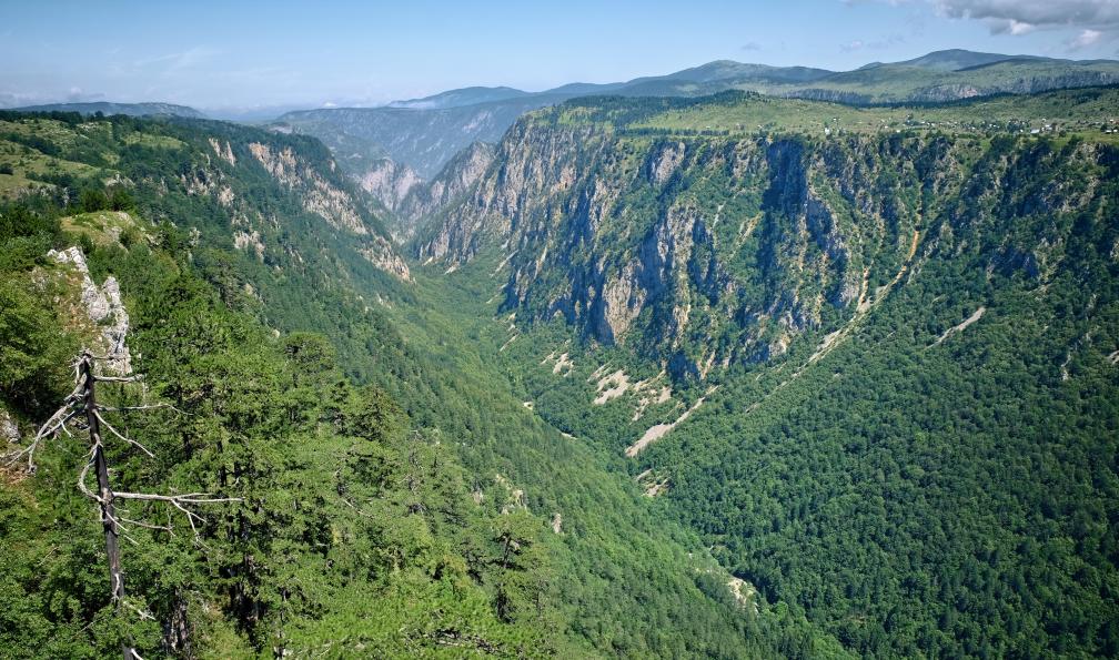 ollirg - stock.adobe.com - Le canyon de Susica dans le parc national de Durmitor, Monténégro
 - Le tour du Monténégro  - 4