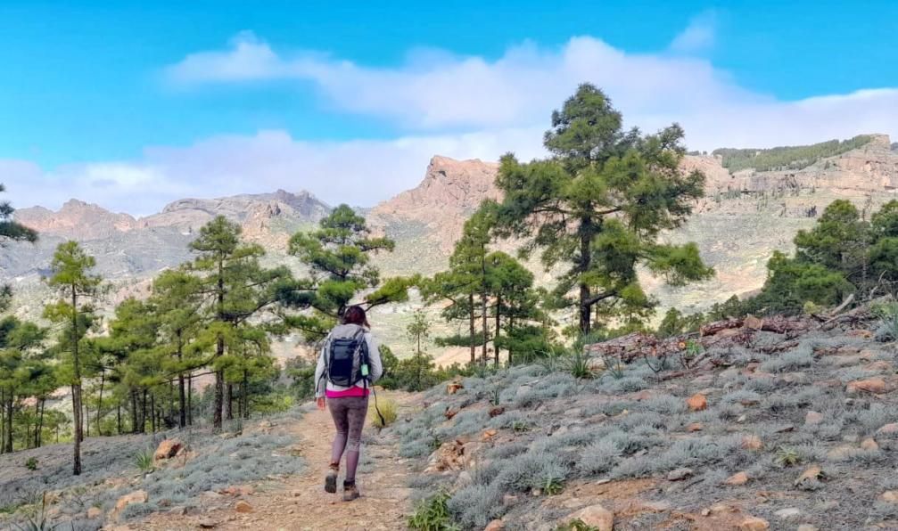 Mandou -  Alicia -  Randonneur sur les sentiers du roque Nublo, Gran Canaria - Les richesses de Gran Canaria - 6