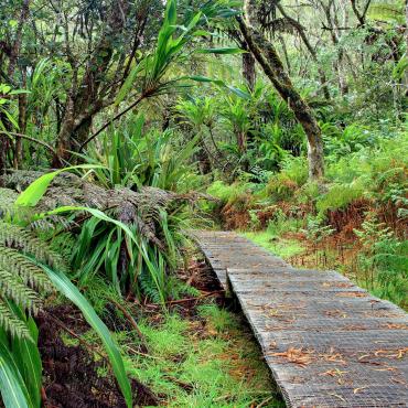 Voyage roadtrip - Réunion : Jardin tropical de l\'océan Indien