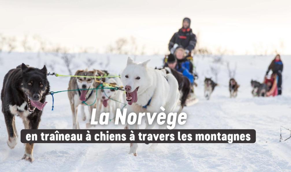 norvege-norvege-en-traineau-a-chiens-1