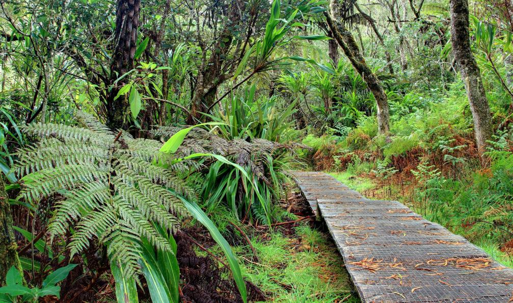 la-reunion-voyage-sur-mesure