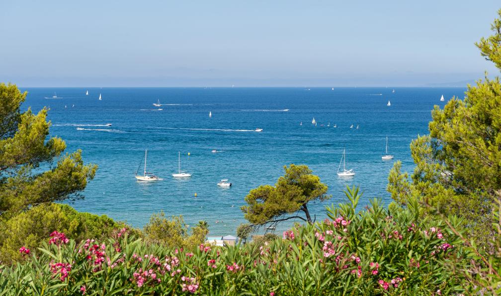 Romanov - Vaceslav - stock.adobe.com - Vue sur la mer Méditerranée le long de la côte d'Azur, France - La Côte d'Azur de Menton à Nice avec mon chien - 5