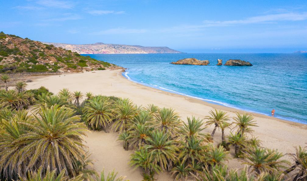 gatsi - Adobe stock - Paysage pittoresque de palmiers, d'eau turquoise et de plage tropicale, Vai, Crète, Grèce - Les trésors de la Crète orientale - 3