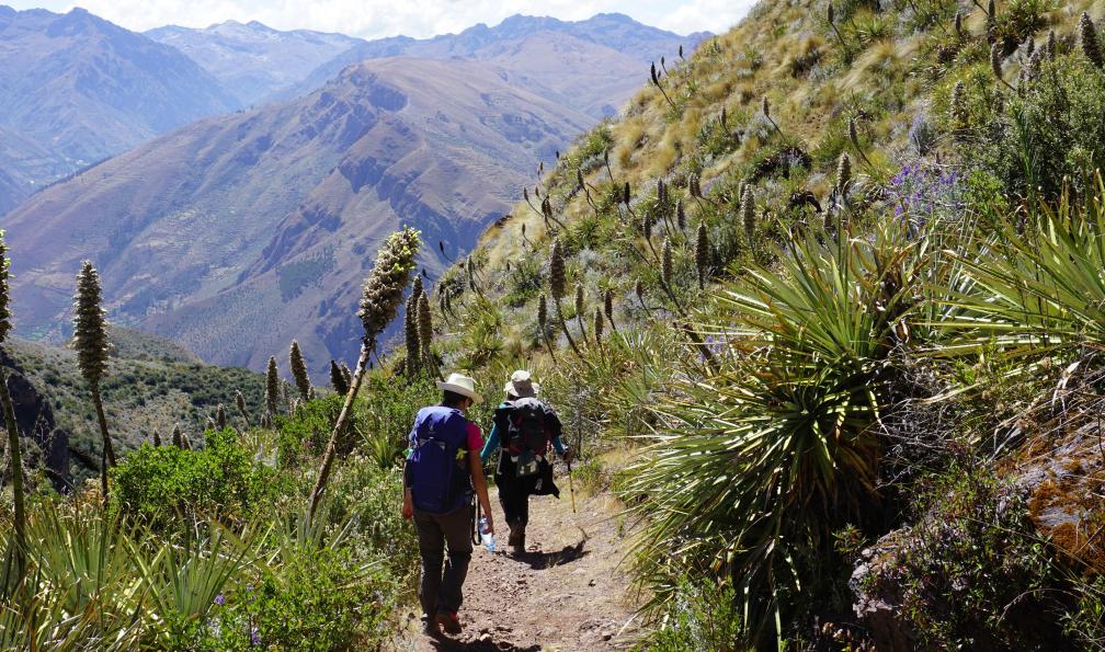 Lydie Busillet -  Trek Tauca -  Huchuy Qosqo - Patabamba, Pérou - Vallée Sacrée, lac Titicaca et cordillère Blanche - 2