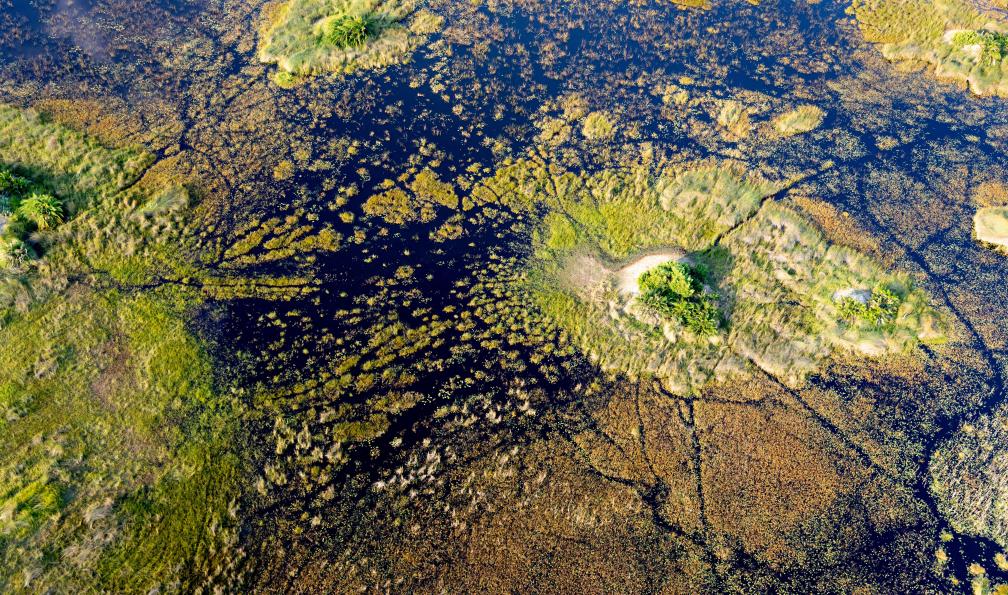 Voyages au Botswana
