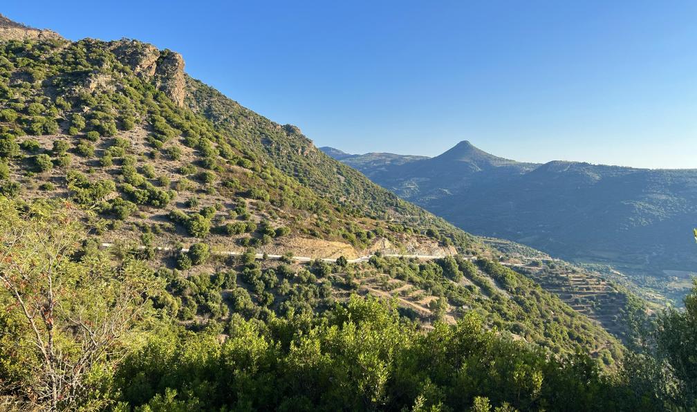 Cordonnier - Juliette - Dans la montée entre Cardedu et Gairo Sant Elena, Sardaigne, Italie - La Sardaigne sauvage à vélo électrique - 6