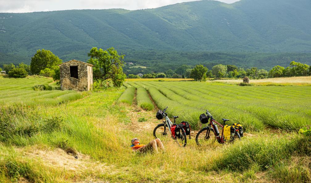 Les charmes du Luberon à vélo